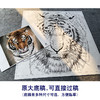 【大彩图】孟祥顺工笔画白描底稿斗方《老虎头》临摹勾线动物线稿A641 商品缩略图1