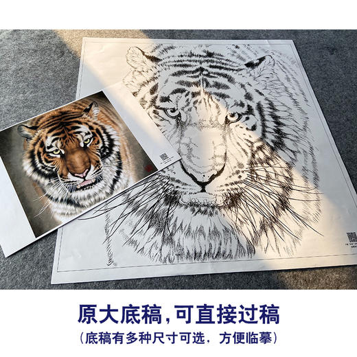 【大彩图】孟祥顺工笔画白描底稿斗方《老虎头》临摹勾线动物线稿A641 商品图1