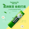 （Herbacin）德国小甘菊经典修护唇膏保湿补水 4.8g 商品缩略图1