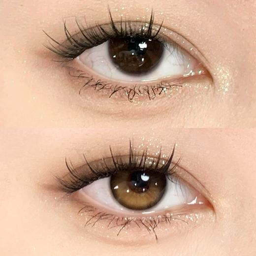 Brown 微光晨曦【日抛】 商品图0