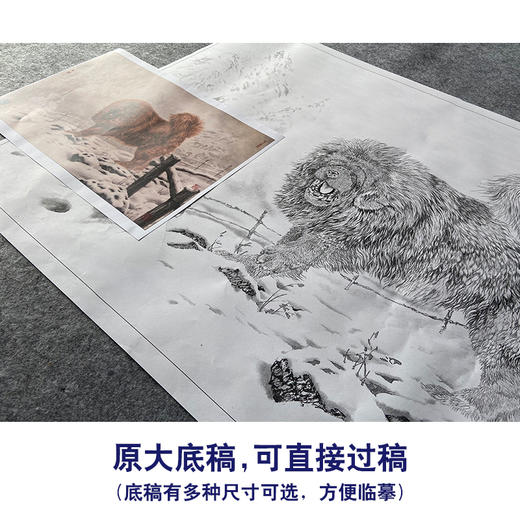 【大彩图】刘继彪工笔画白描底稿《藏獒》临摹勾线动物线稿GG09 商品图1