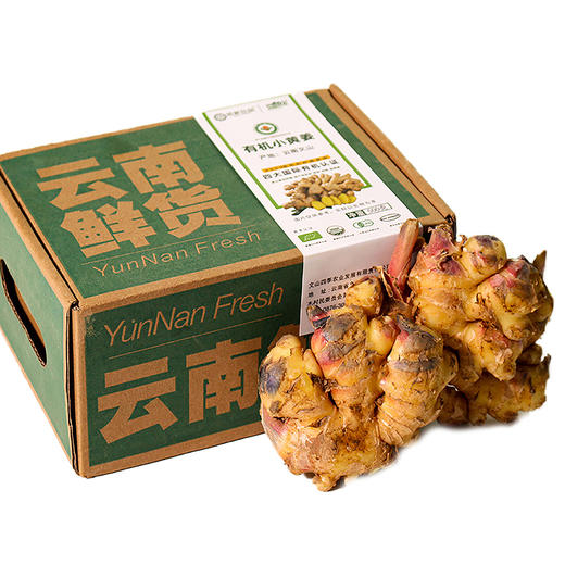丨有机丨云南文山高山小黄姜 生姜 佰家珍品 商品图5