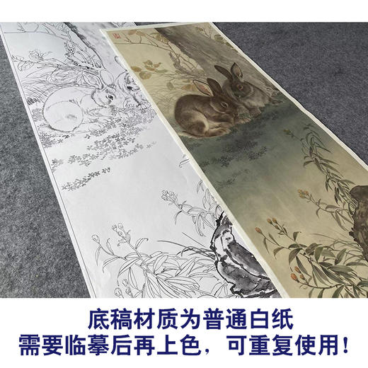 【大彩图】王生勈工笔画白描底稿《兔子》初学者临摹勾线动物线稿A653 商品图3