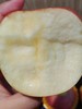 【团购特惠】洛川苹果，浓郁的苹果香，一口嘎嘣脆，汁水又多脆又甜，皮薄、核小食之有味~ 商品缩略图2