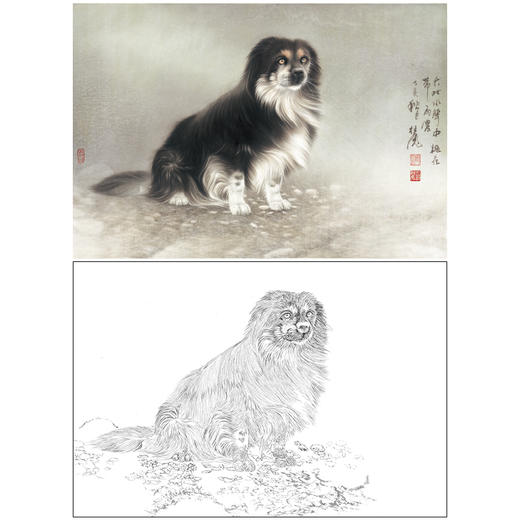 【大彩图】刘继彪工笔画白描底稿《一只狗》临摹勾线动物线稿GG05 商品图0