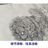 【大彩图】刘继彪工笔画白描底稿《藏獒》临摹勾线动物线稿GG09 商品缩略图4