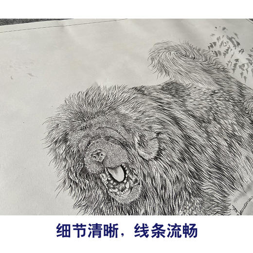 【大彩图】刘继彪工笔画白描底稿《藏獒》临摹勾线动物线稿GG09 商品图4
