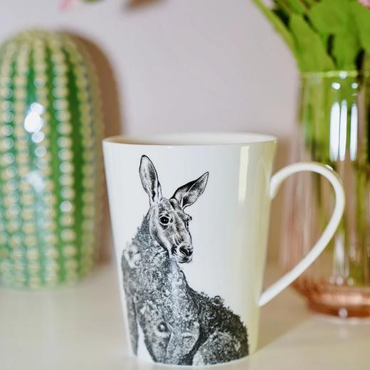 【出口餐具尾单-福利专场】MAXWELL WILLAMS高品种细瓷马克杯、瓷盘钢笔画系列！澳大利亚设计师品牌 🔥Z后一批存现货❗️卖完绝版！高品质耐高温【CJ33】 商品图11