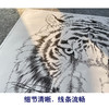 【大彩图】孟祥顺工笔画白描底稿斗方《老虎头》临摹勾线动物线稿A641 商品缩略图4