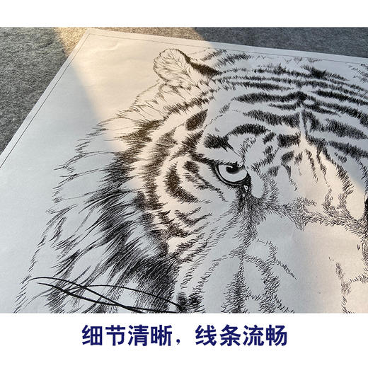 【大彩图】孟祥顺工笔画白描底稿斗方《老虎头》临摹勾线动物线稿A641 商品图4
