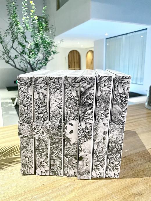 【出口餐具尾单-福利专场】MAXWELL WILLAMS高品种细瓷马克杯、瓷盘钢笔画系列！澳大利亚设计师品牌 🔥Z后一批存现货❗️卖完绝版！高品质耐高温【CJ33】 商品图2