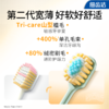 LION狮王 细齿洁宽薄牙刷 茶抗敏*2+椰护龈*2（颜色随机） 商品缩略图2