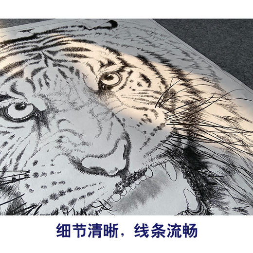 【大彩图】孟祥顺工笔画白描底稿斗方《老虎头》临摹勾线动物线稿A638 商品图4