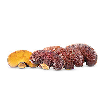 【长征文旅】[]册选精品灵芝片250g/袋 商品图4