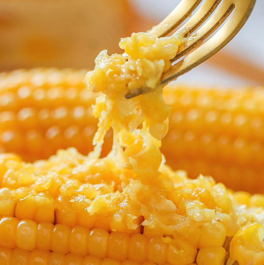 〔产地直发包邮60〕长春有机糯玉米 商品图2