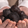 藏密3600.新鲜黑松露 （产地：云南高黎贡山） 商品缩略图3
