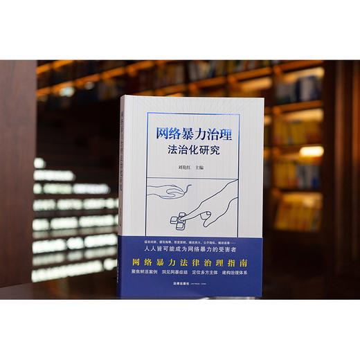 网络暴力治理法治化研究 商品图2