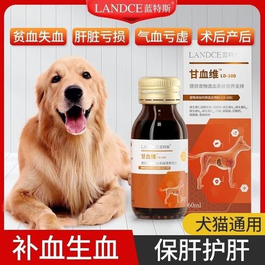 【补血肝精】蓝特斯甘血维猫咪狗狗术后营养补充保肝贫血60ml 商品图1