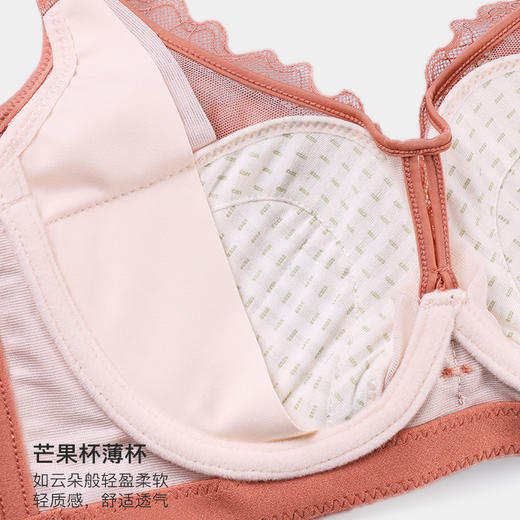 美季美优W351B11B双层蕾丝芒果杯文胸B/C 商品图2