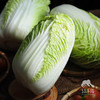生态吉林娃娃菜 | 合作生产 *   Ecological Jilin Baby Cabbage | Coproduction 商品缩略图3