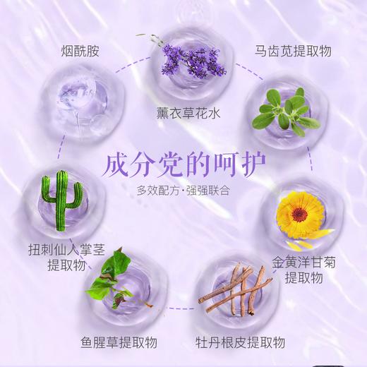 lkc兰可舍芮薰衣草净润芳香面膜5片/盒 先油后膜 把芳香spa带回家 商品图1
