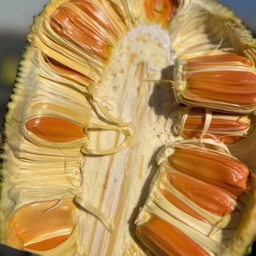 红肉菠萝蜜，太甜了。味浓香甜，红肉菠萝蜜的就是不一样。大个头的。 商品图9