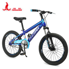 凤凰20寸学生自行车-贝TT-20塔95%装 蓝色