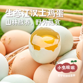 （发货慢，不接急单）生态江汉土鸡蛋 30枚/盒 | 合作农友生产，产自湖北广水，生产者：湛小良 *【公平贸易农人定价】