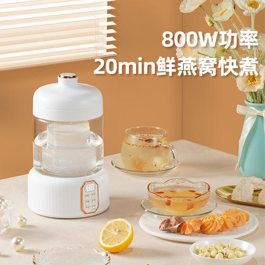 2023专业燕窝隔水电炖盅 商品图2