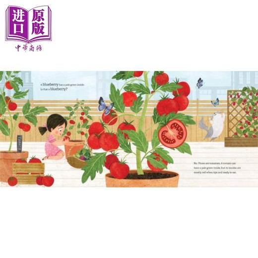 【中商原版】小林的屋顶花园 Samara Hardy Linhs Rooftop Garden 英文原版 儿童绘本 图画故事书 精品绘本 进口图书3-7岁 商品图2