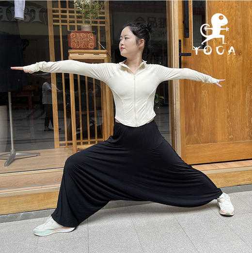 壁虎瑜伽【2310KZ261】大码休闲秋冬宽松哈伦瑜伽九分裤【5天发货】 商品图4