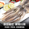 富海锦鲜冻整只大鱿鱼1.48斤2-3条 火锅烧烤食材 轰炸大鱿鱼 软足 送礼 商品缩略图0