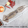 富海锦鲜冻整只大鱿鱼1.48斤2-3条 火锅烧烤食材 轰炸大鱿鱼 软足 送礼 商品缩略图4