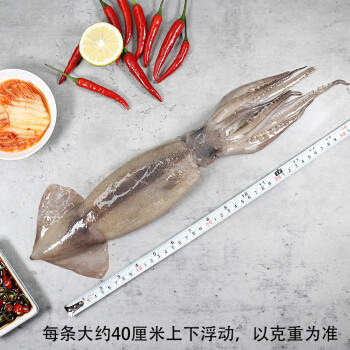 富海锦鲜冻整只大鱿鱼1.48斤2-3条 火锅烧烤食材 轰炸大鱿鱼 软足 送礼 商品图4