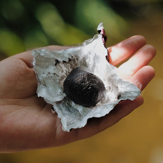 【九蒸九晒黑芝麻丸】古法制作无添加 每天4颗食补（每罐200g 约21颗） 商品图7