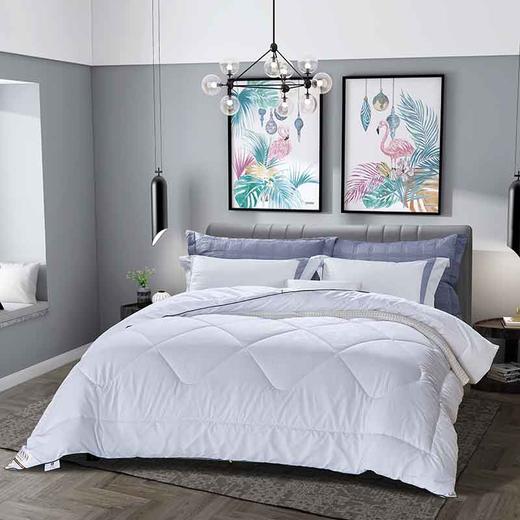 富安娜艾瑞丝四季被203x229cm 商品图1