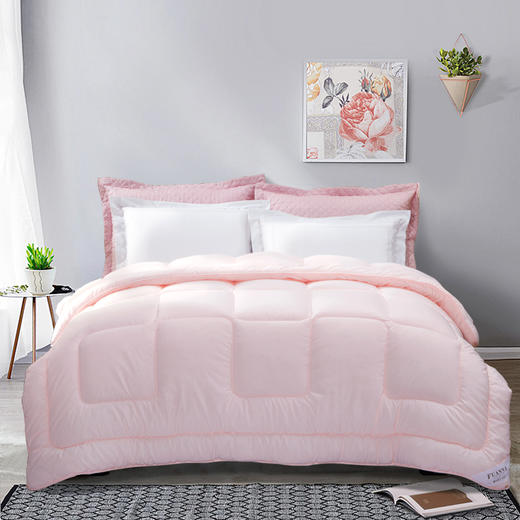 富安娜 纤柔七孔冬被 203*229cm(1500g) 商品图0