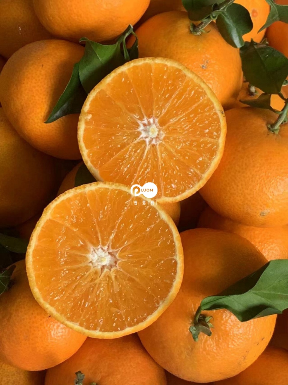 双11丨8斤加赠1斤！挂在枝头的天然果冻！【四川·爱媛果冻橙】非橙非橘 似橙似橘 皮薄如纸 细嫩无渣 酸酸甜甜 入口即化