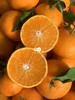 双11丨8斤加赠1斤！挂在枝头的天然果冻！【四川·爱媛果冻橙】非橙非橘 似橙似橘 皮薄如纸 细嫩无渣 酸酸甜甜 入口即化 商品缩略图0