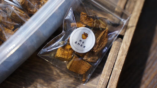 桑树桑黄 商品图2