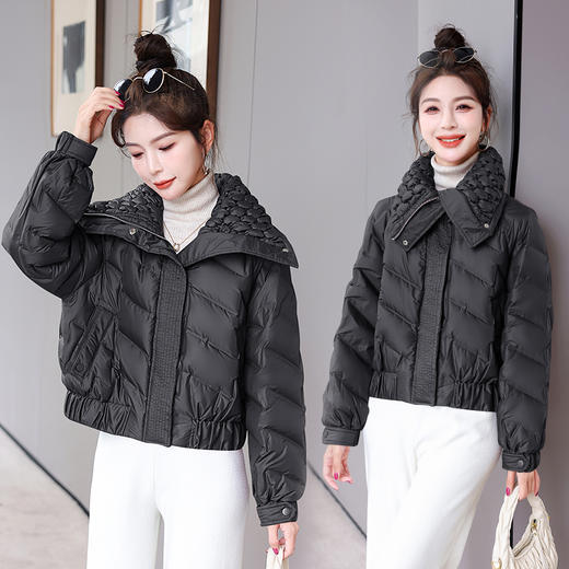 冬季新款，时尚气质显瘦大翻领时髦个性设计90白鸭绒羽绒服HR-HBLJRD160 商品图1