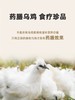 【斌哥优选】泰和原种乌鸡，能入药的鸡，清水煮都好吃. 商品缩略图2
