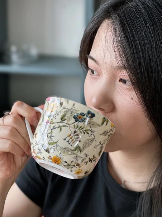 澳洲本土设计师品牌【MAXWELL WILLIAMS骨瓷早餐杯＆碟礼盒装480ML】英国🇬🇧皇家花型，高品质骨瓷 商品图7