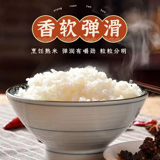 森稻福东北长粒香大米5kg 商品图3