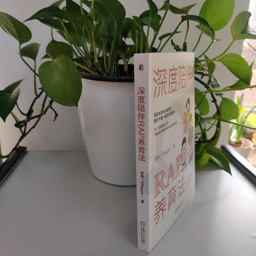 官网 深度陪伴RAP养育法 张杨 陪伴 养育 亲子关系 内驱力 家教育儿书籍 商品图3
