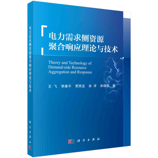 电力需求侧资源聚合响应理论与技术 商品图0