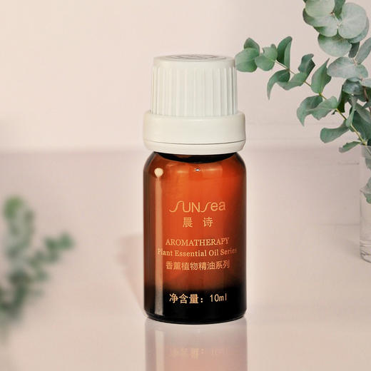 晨诗-尤加利（桉树）精油10mL 商品图0