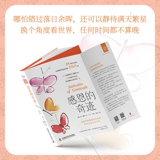 感恩的奇迹：让我们的眼睛再次看到 平凡生活中的奇迹 商品图5