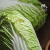 生态吉林娃娃菜 | 合作生产 *   Ecological Jilin Baby Cabbage | Coproduction 商品缩略图0