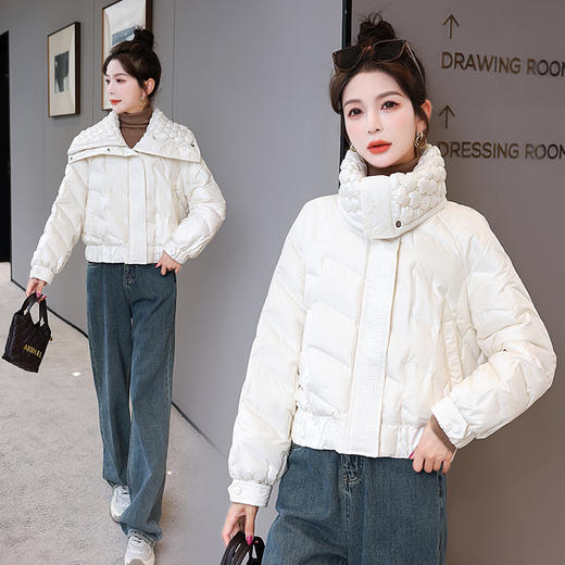 冬季新款，时尚气质显瘦大翻领时髦个性设计90白鸭绒羽绒服HR-HBLJRD160 商品图2